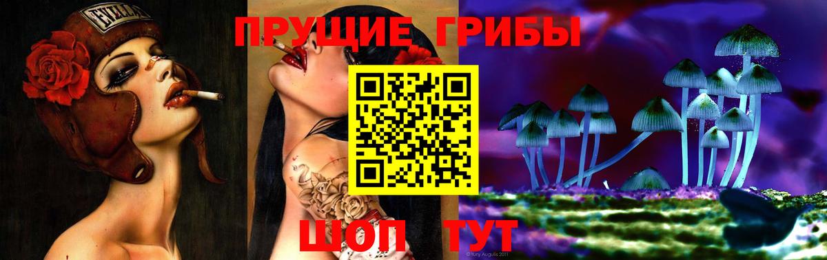Псилоцибиновые грибы прущие грибы  Вход с VPN  Галлюциногенные грибы прущие грибы  Богданович 